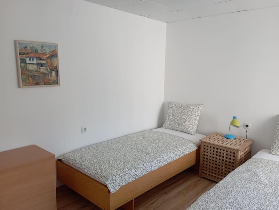 Gradina Apartment 蒙塔纳 外观 照片
